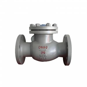 DN50 PN25 介質：甲胺，溫度：80℃止回閥